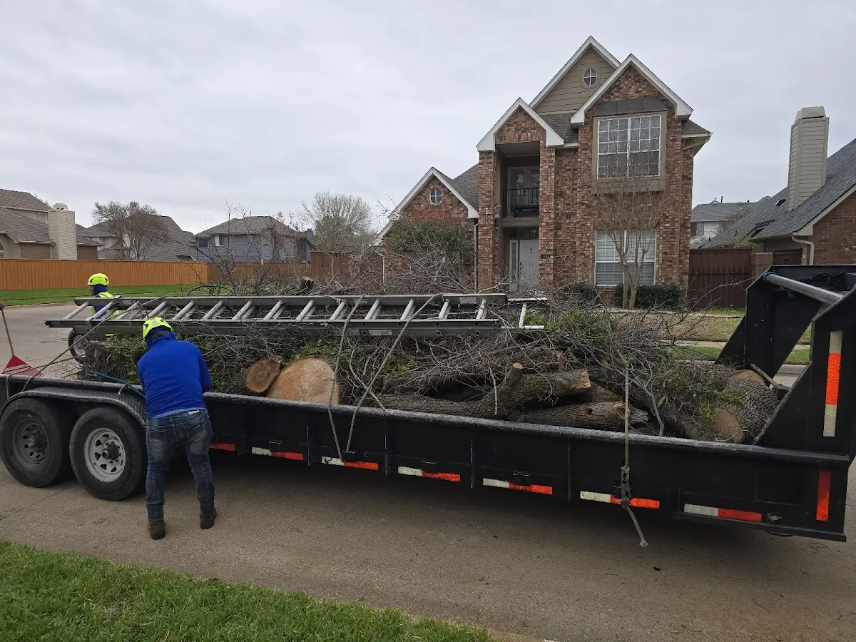 Expert Crown Reduction with proper safety equipment in Buies Creek